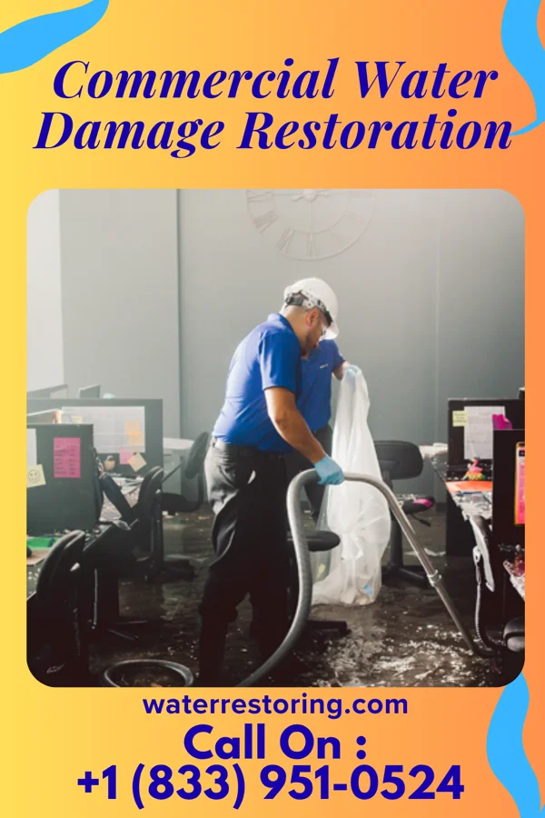 Commercial Water Damage Restoration in Marley, IL